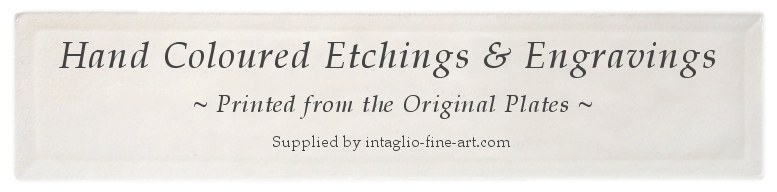 decorative high quality etchings and engravings, portraits of female figures