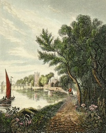 Putney from the Riverside