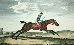 Tortoise, racehorse