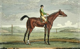 Antelope, famous race horse