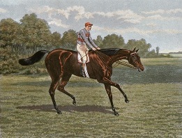 Signorina, filly