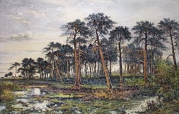 rural french woodland scene