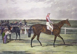 Knight of St George, st.Ledger winner 1854, hand coloured print