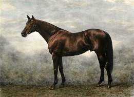 Persimmon, Derby winner