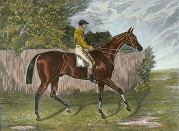 Melton, derby winner with fred archer