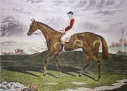 race horse print