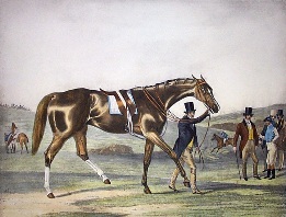 Epsom Oaks winner, hand coloured print