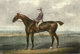 Warter, racehorse