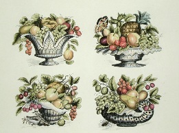 fruit bowls, hand coloured etching