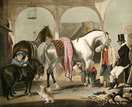 vat attending horse in stable