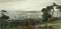 print of Devonport From Mount Edgecombe