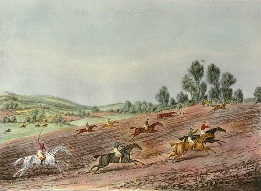 steeplechase horse print