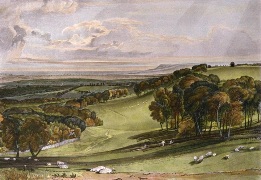 large print of Rosehill, sussex